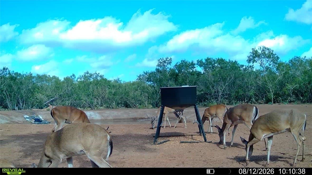 31.52 acres in Duval County - photo 18