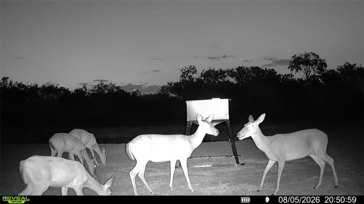31.52 acres in Duval County - photo 10