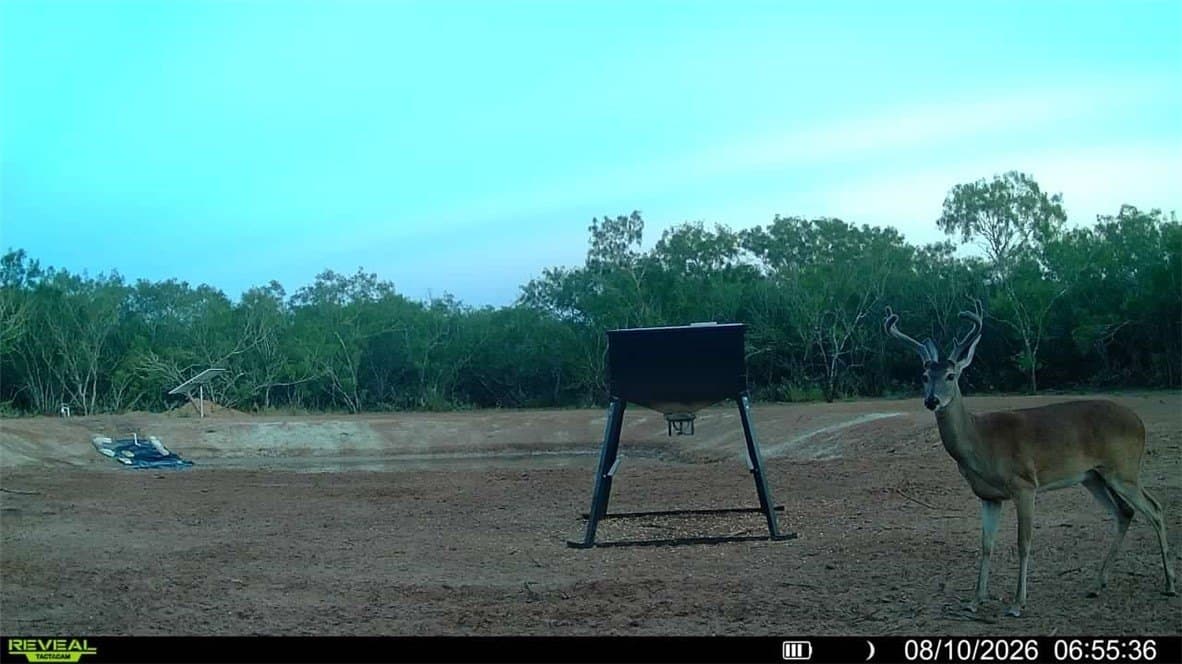 31.52 acres in Duval County - photo 14