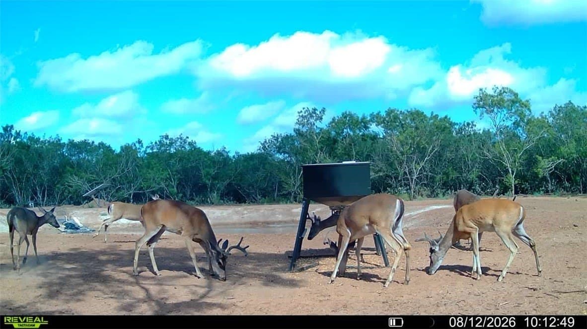 31.52 acres in Duval County - photo 17