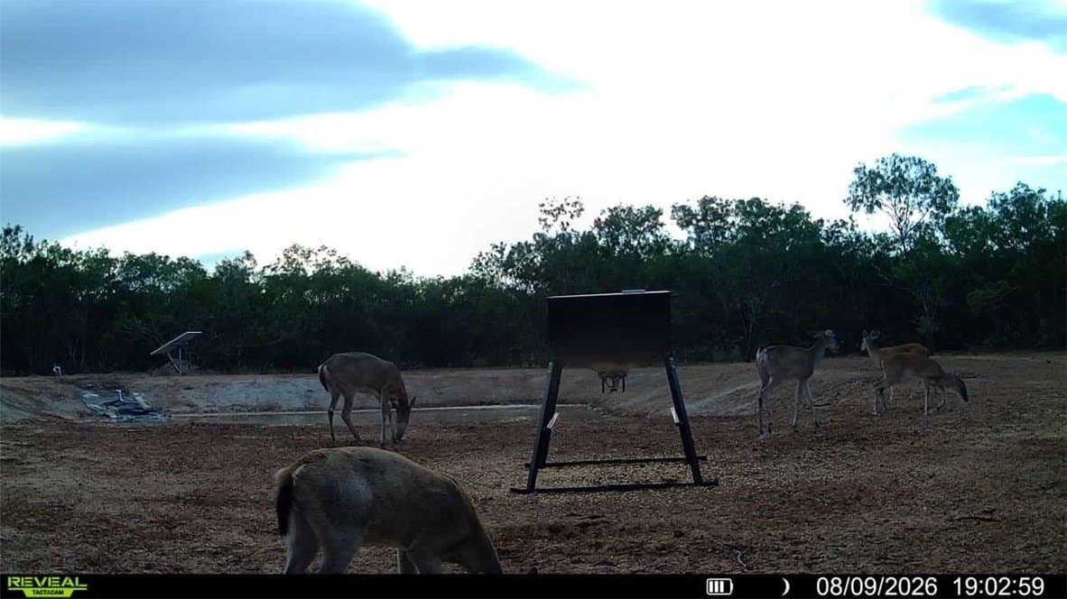 31.52 acres in Duval County - photo 15