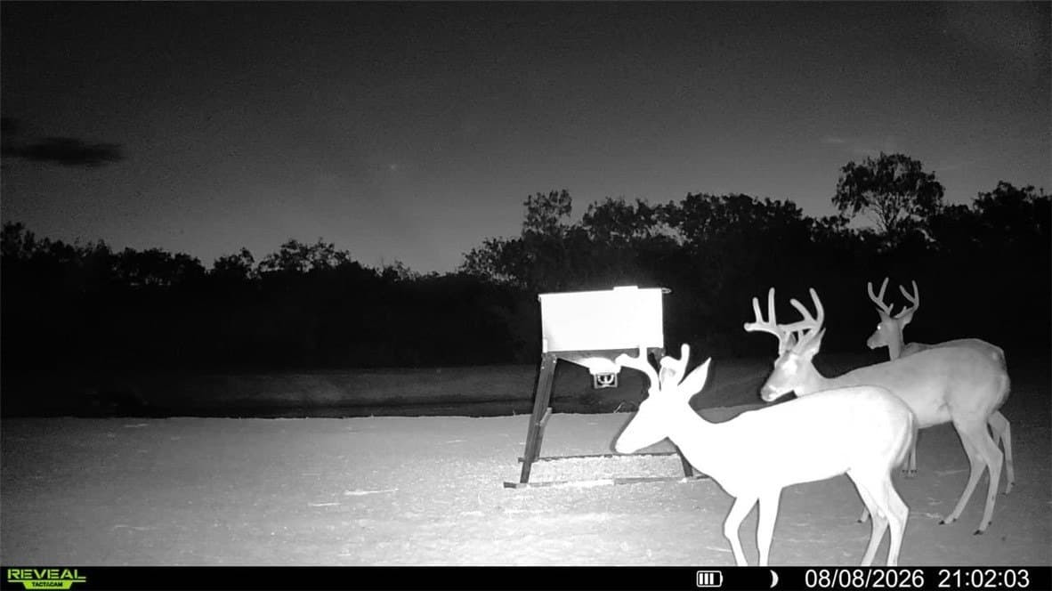 31.52 acres in Duval County - photo 13