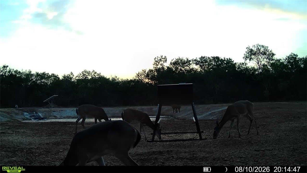 31.52 acres in Duval County - photo 16