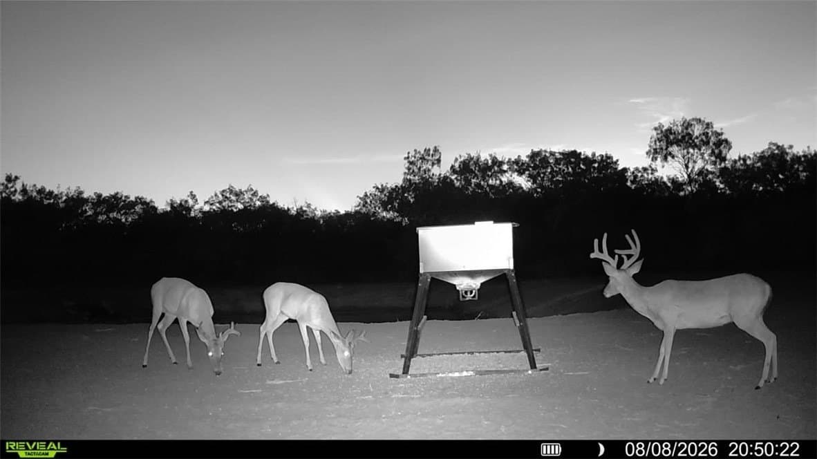 31.52 acres in Duval County - photo 12