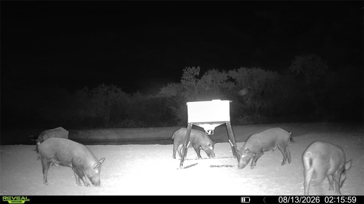 31.52 acres in Duval County - photo 19