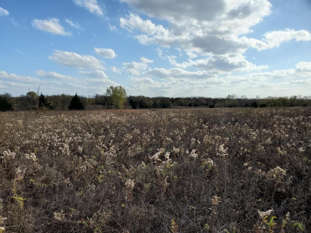 31.5 acres in Grayson County - photo 3