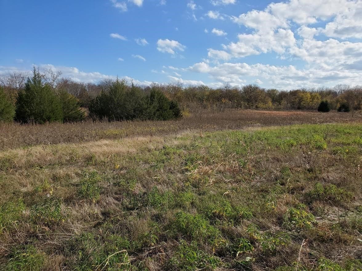31.5 acres in Grayson County - photo 5