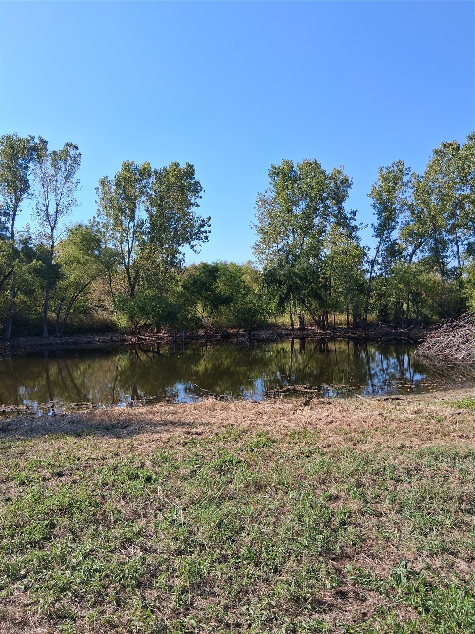 31.5 acres in Grayson County - photo 2