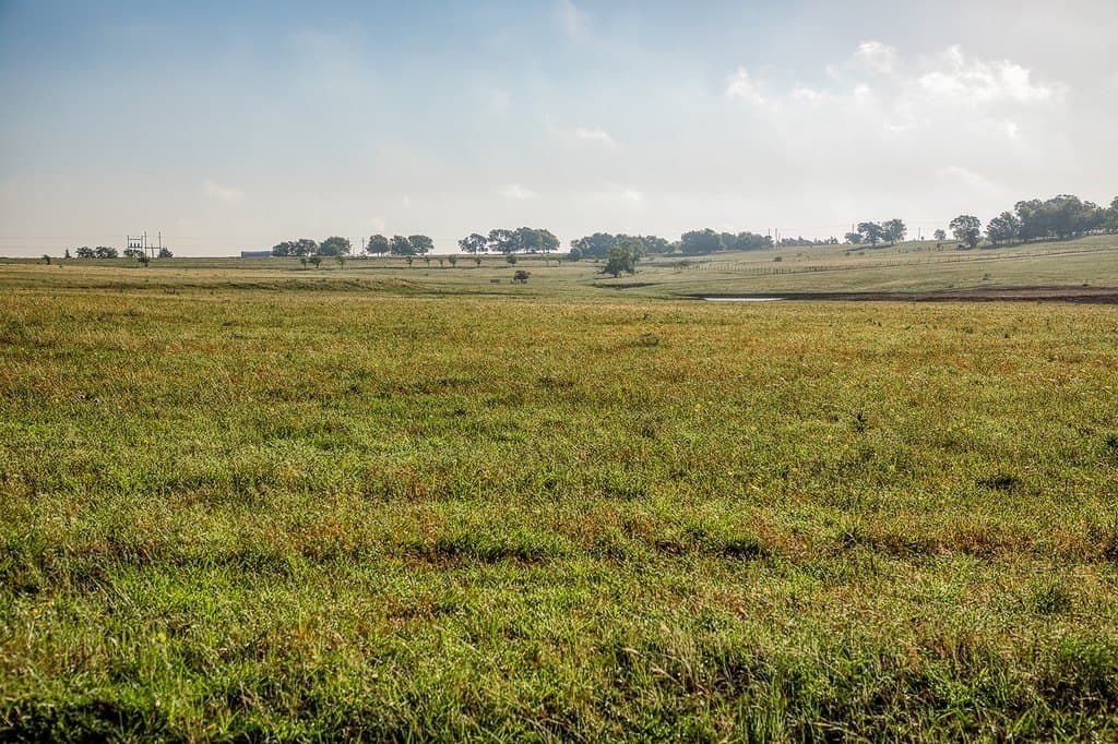 12.5 acres in Washington County - photo 9