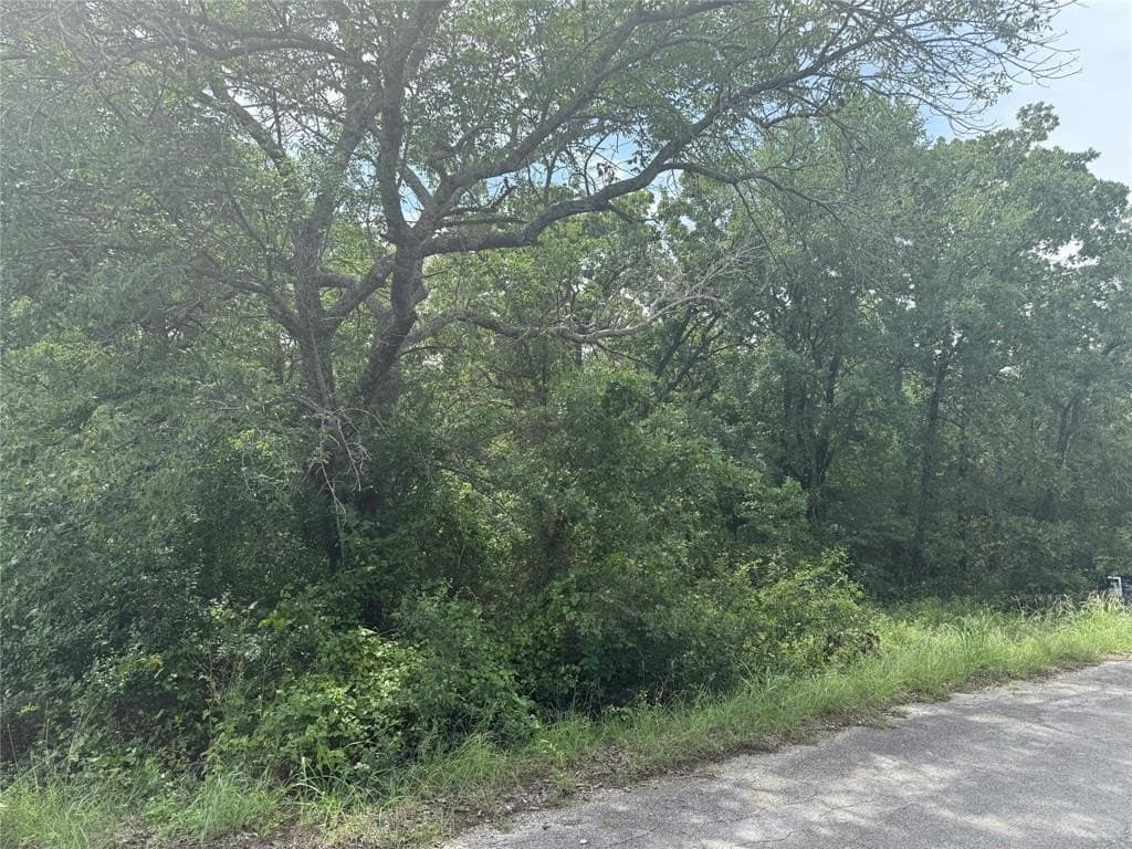 0.26 acres in Wise County gallery image 2