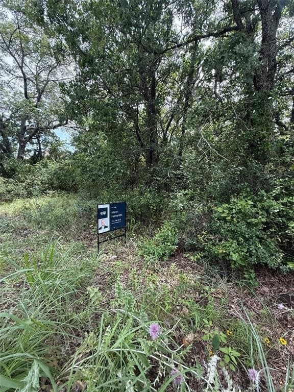 0.26 acres in Wise County featured view
