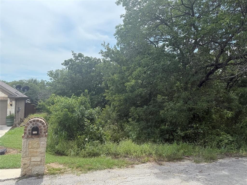 0.26 acres in Wise County gallery image 4