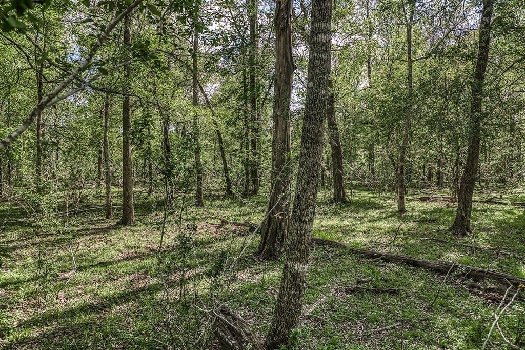 14.52 acres in Washington County - photo 22