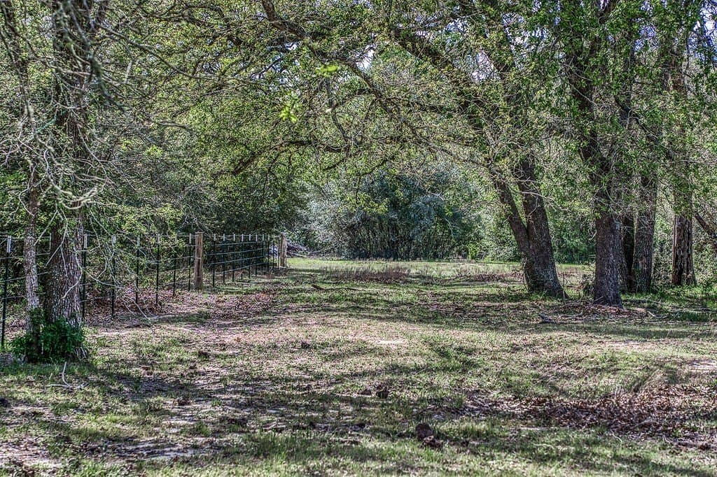 14.52 acres in Washington County - photo 20
