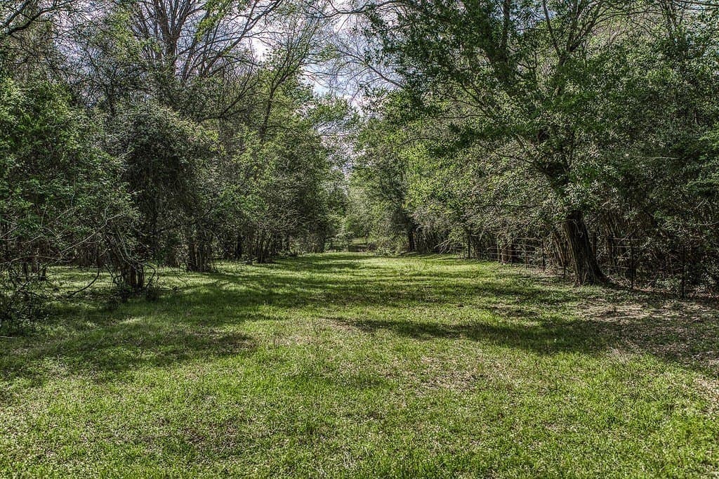 14.52 acres in Washington County - photo 23