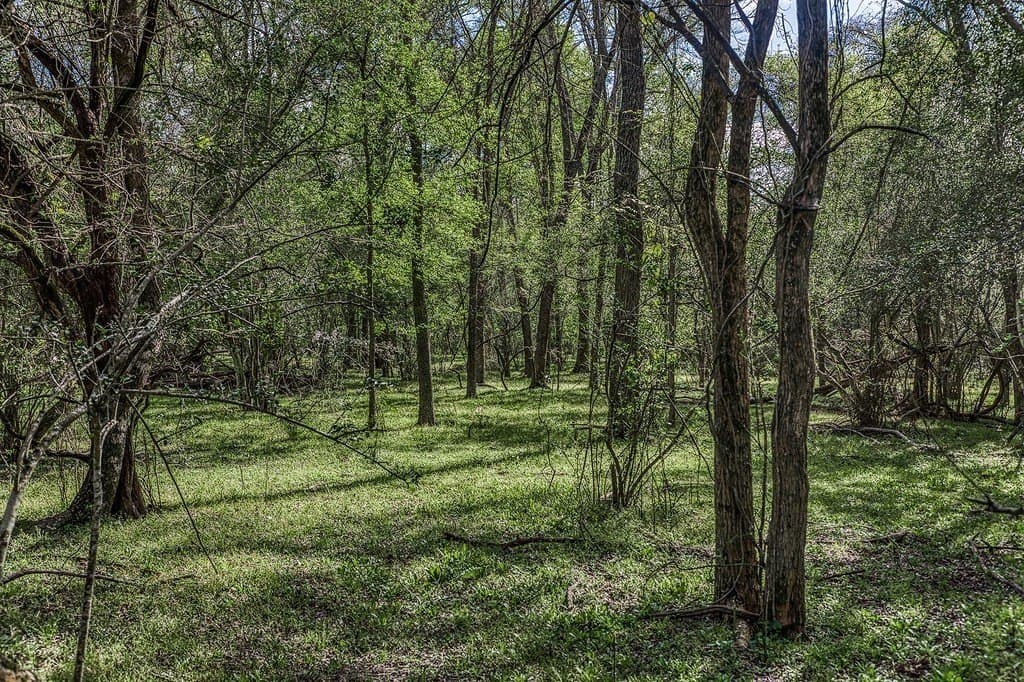 14.52 acres in Washington County - photo 24