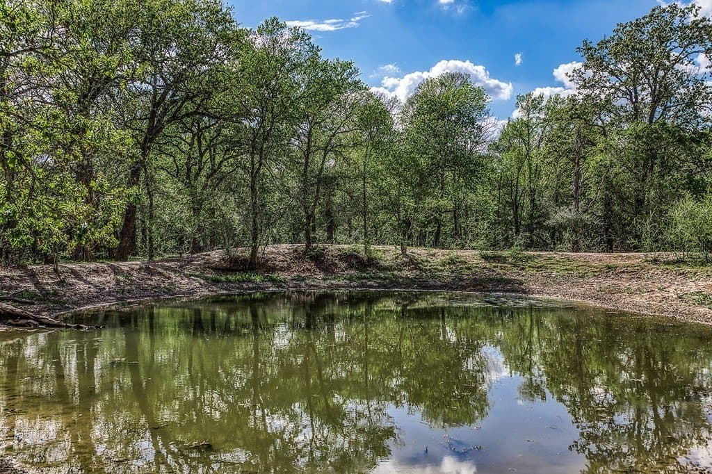 14.52 acres in Washington County - photo 21