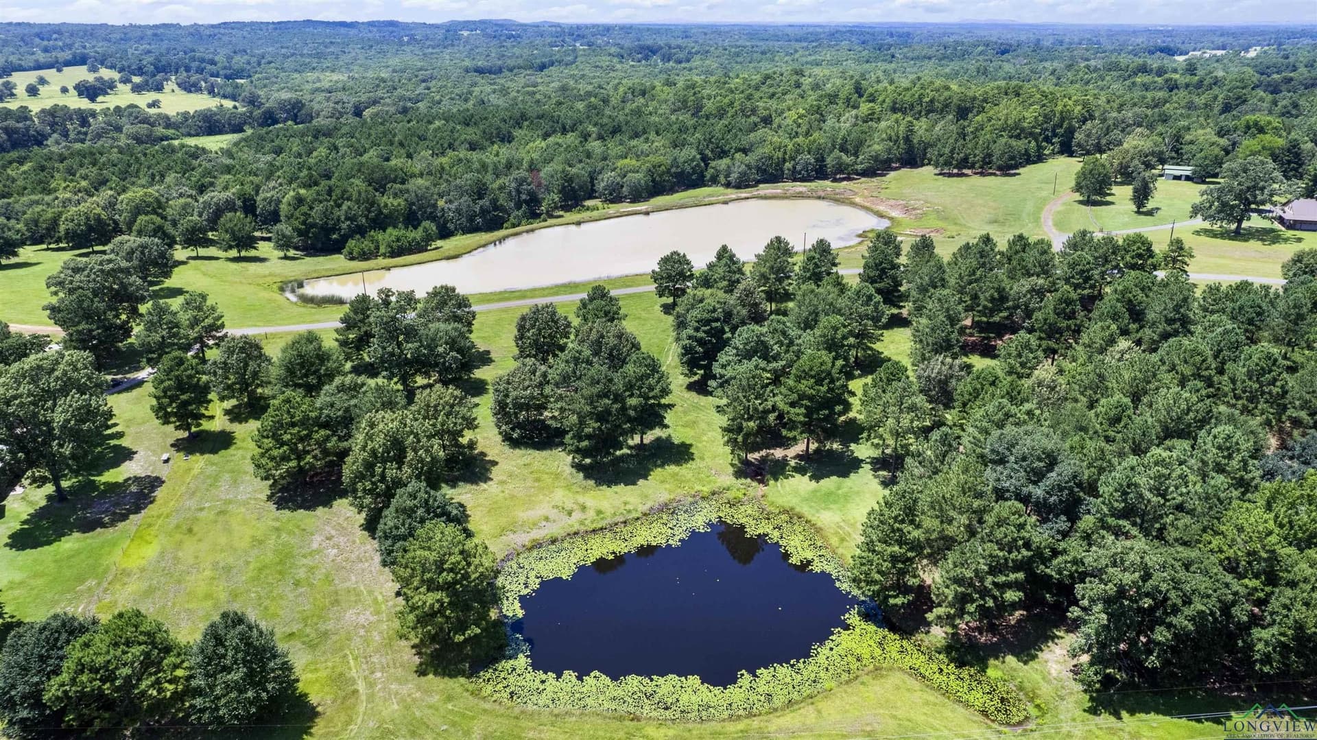 23 acres in Upshur County gallery image 2