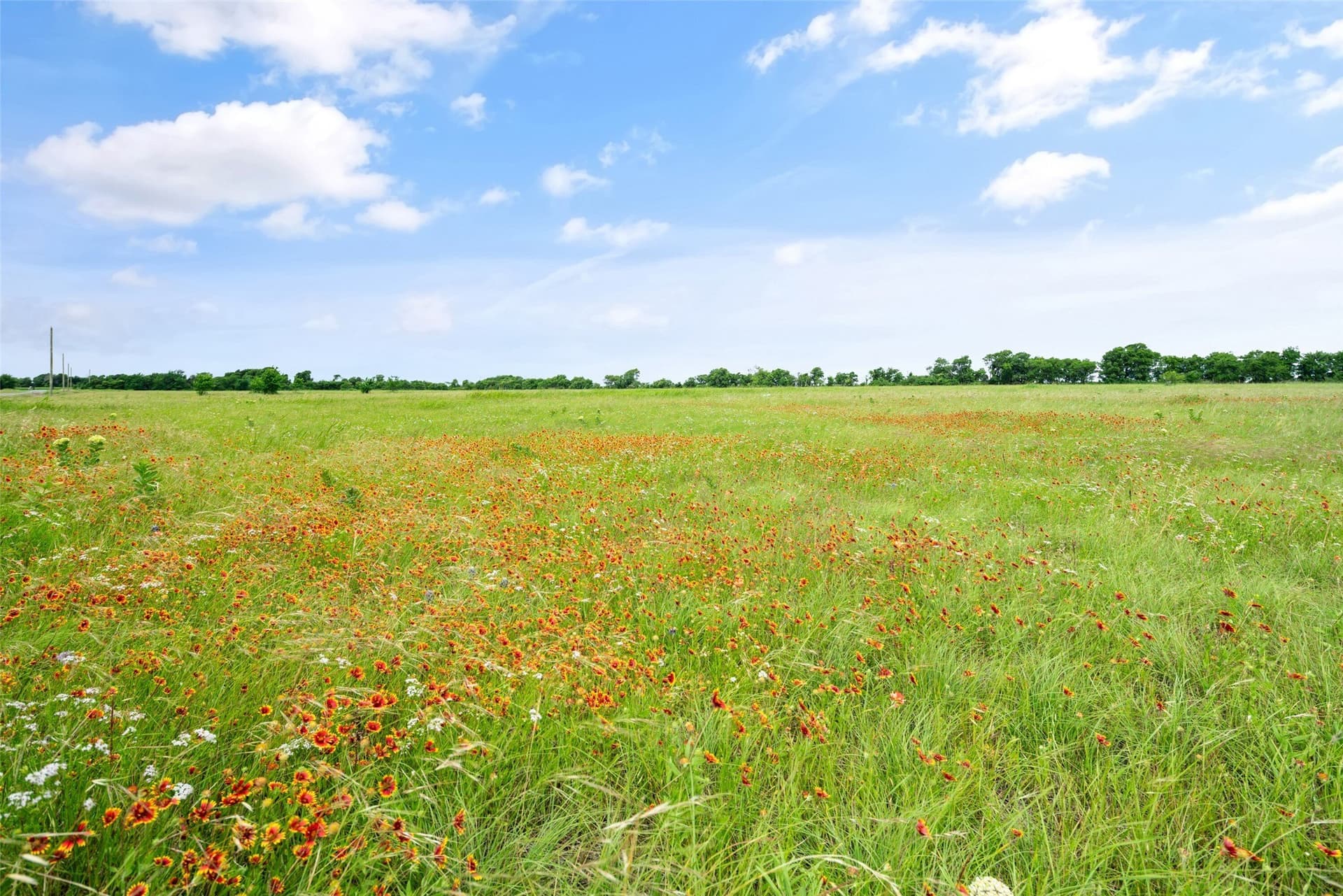 10.01 acres in Hill County - photo 10