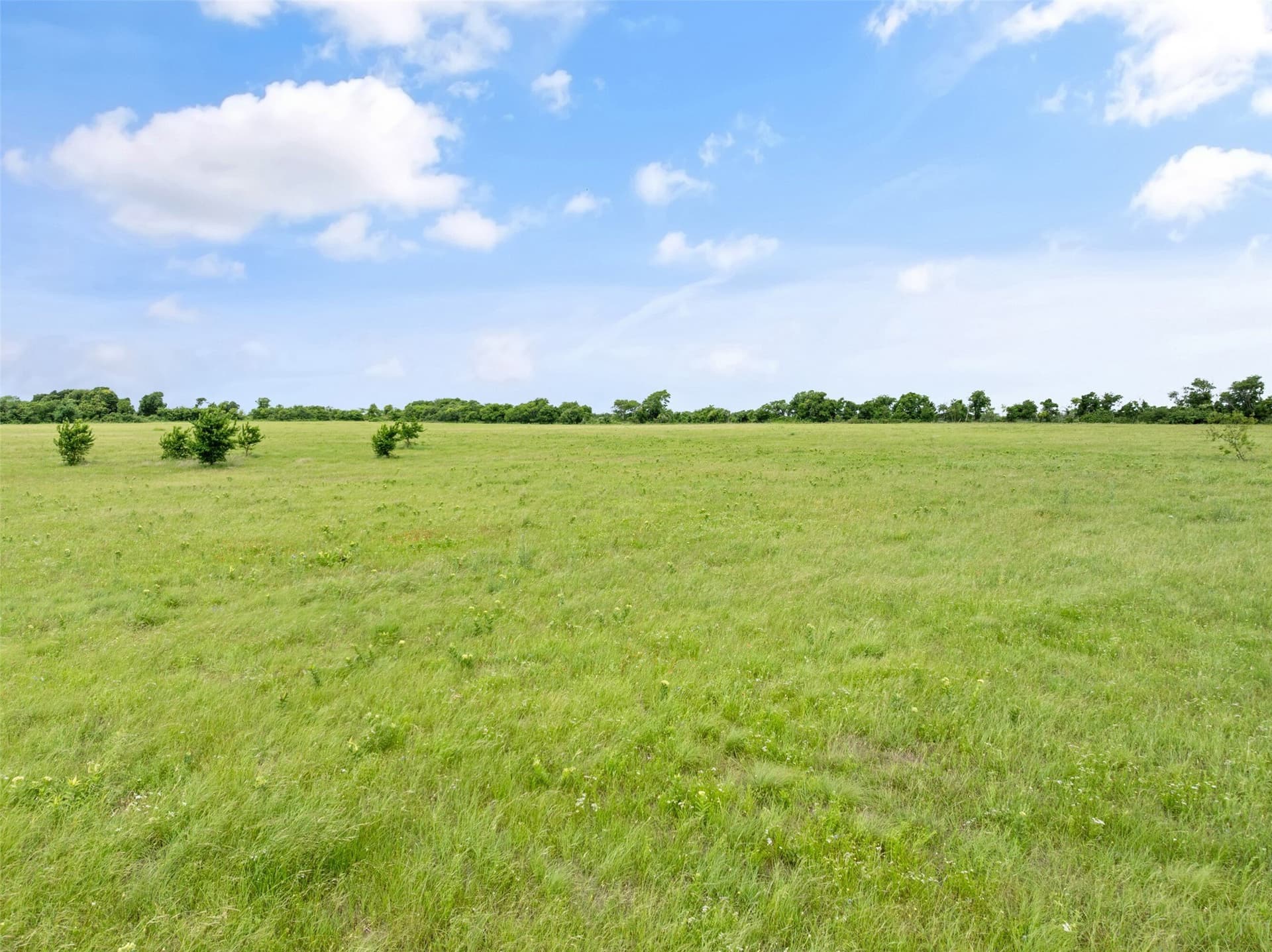 10.01 acres in Hill County - photo 19