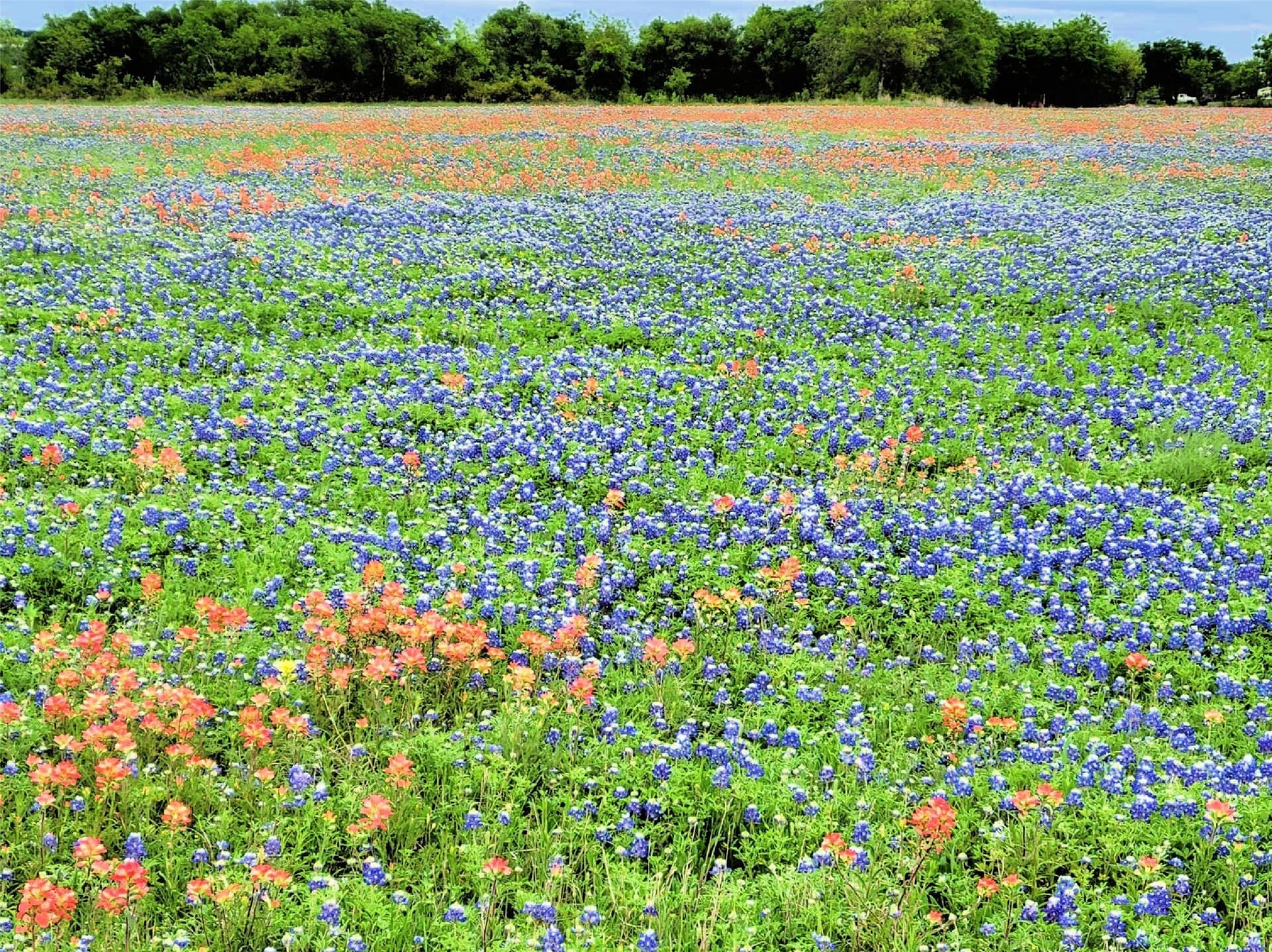 10.01 acres in Hill County - photo 22