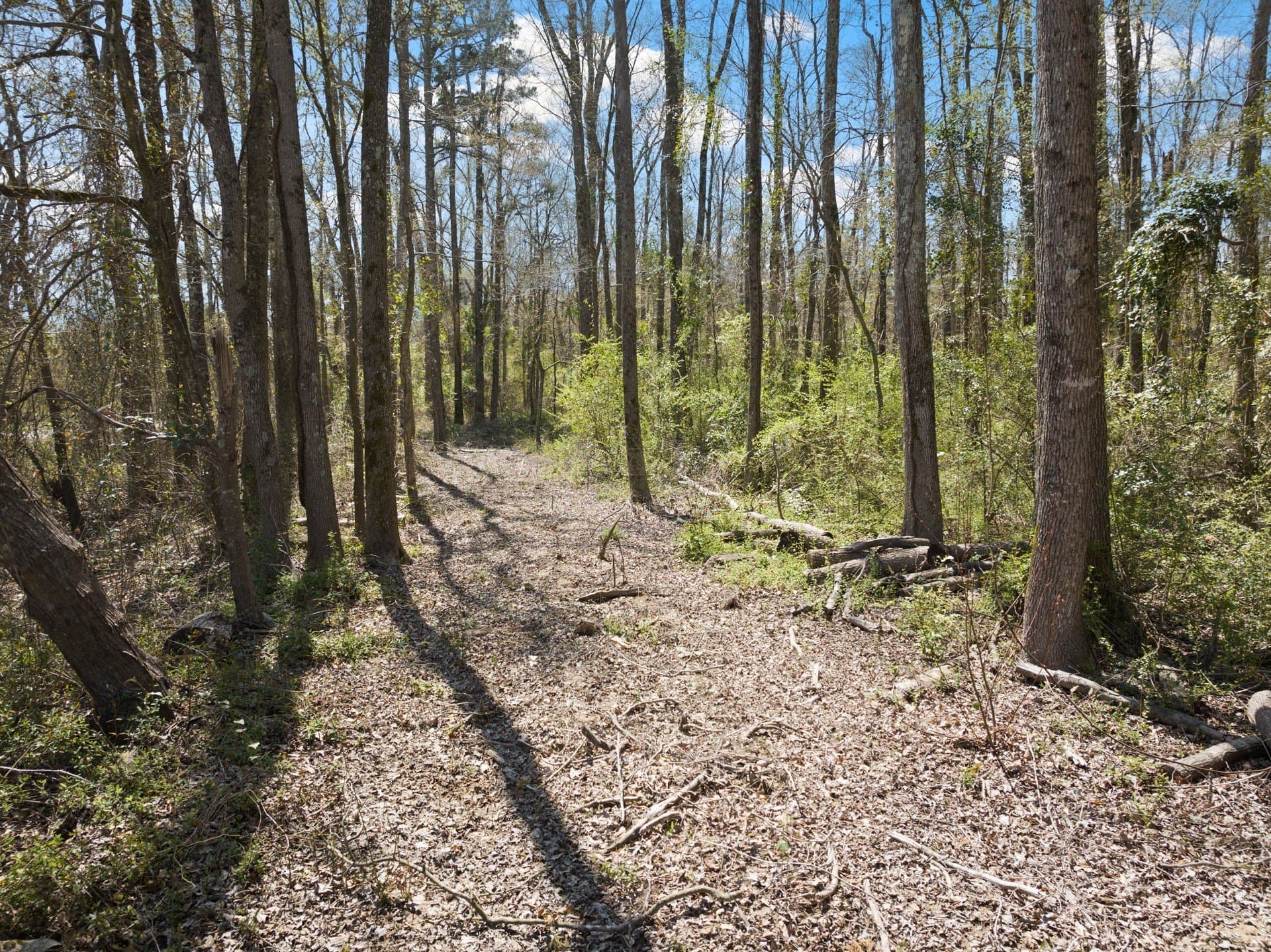 5.65 acres in Titus County - photo 3