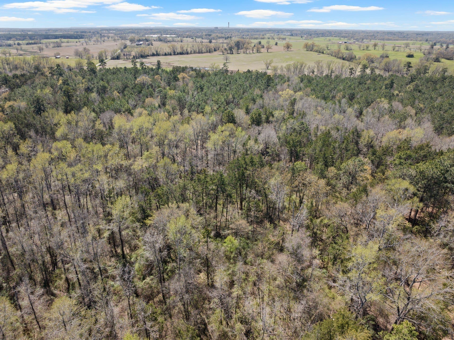 5.65 acres in Titus County - photo 5