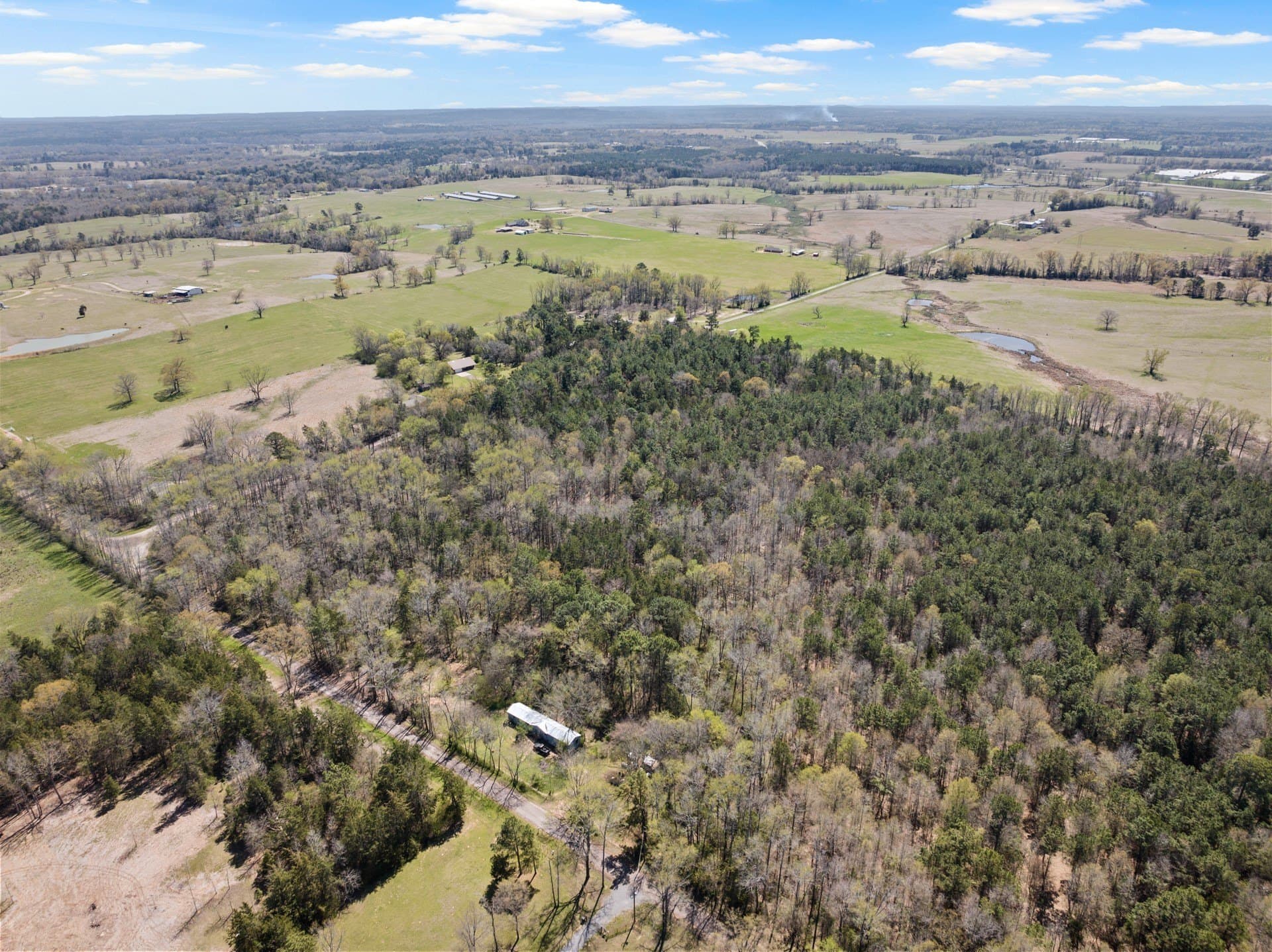 5.65 acres in Titus County - photo 8