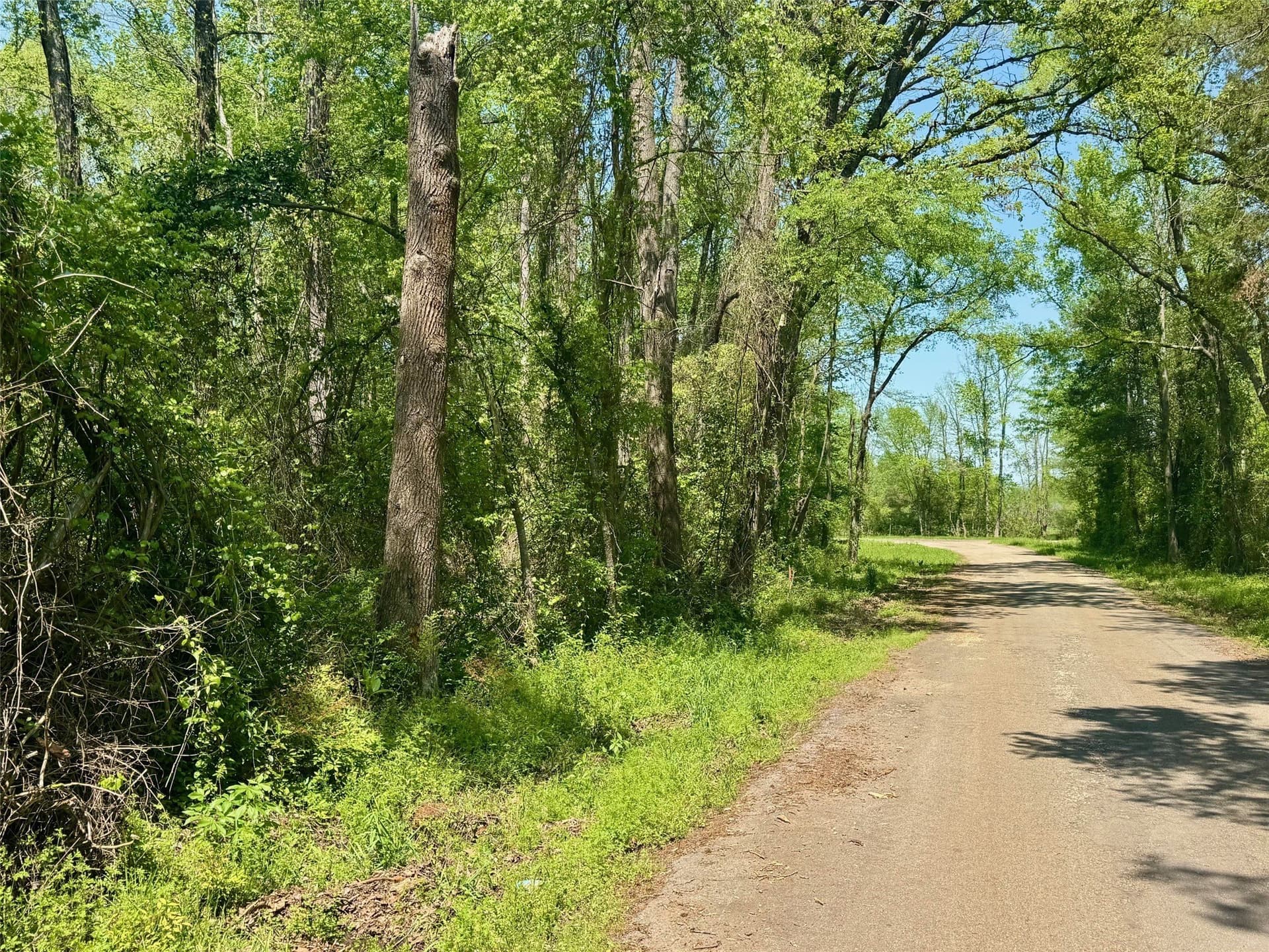 5.65 acres in Titus County - photo 14