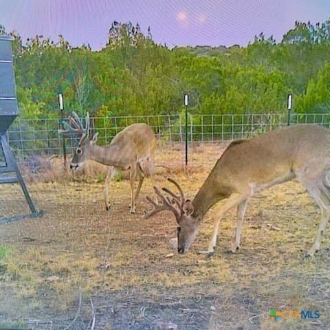 157.91 acres in Val Verde County gallery image 3