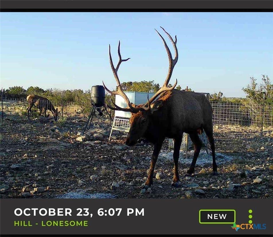 157.91 acres in Val Verde County gallery image 4