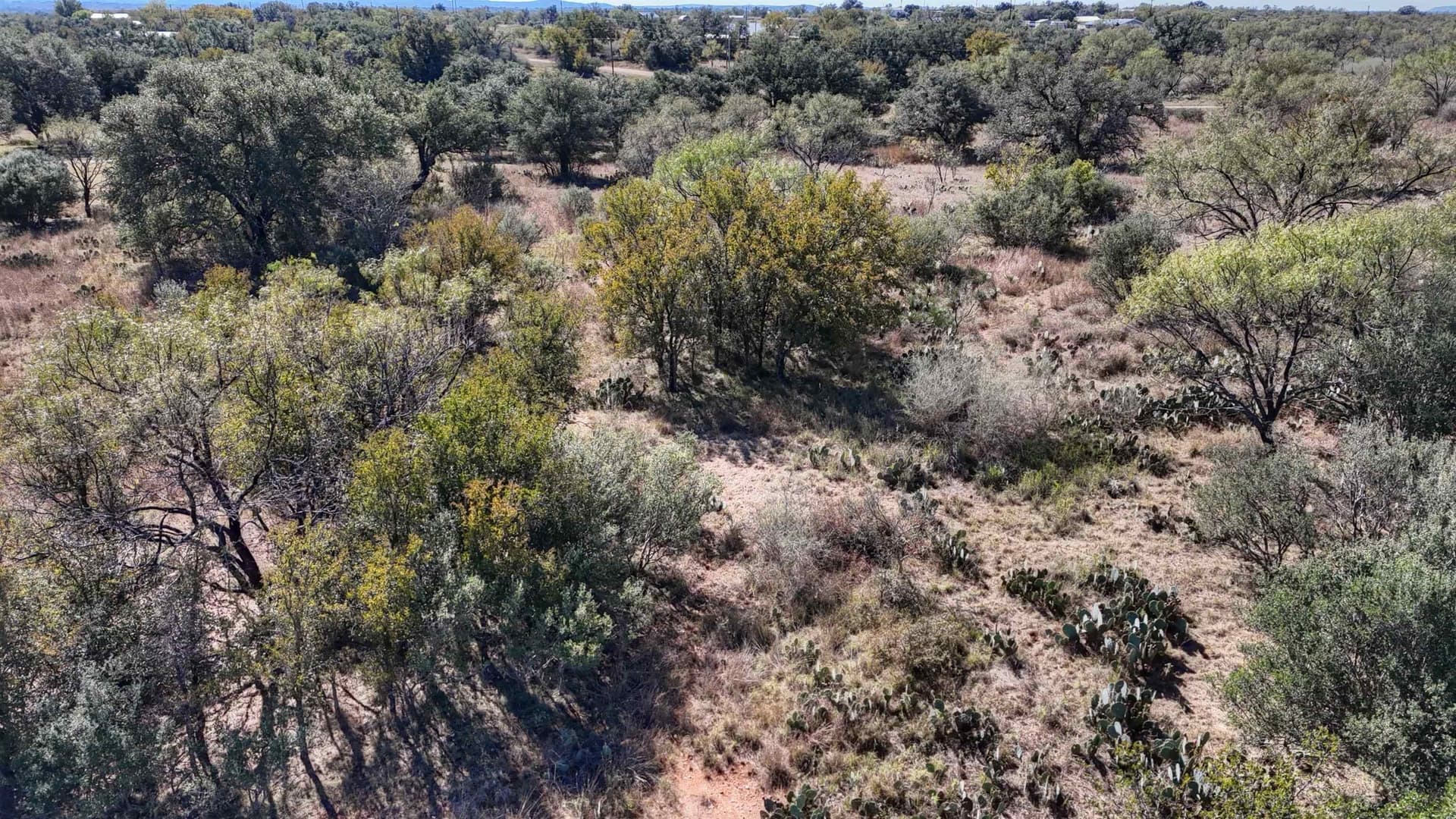 5.16 acres in Llano County - photo 12