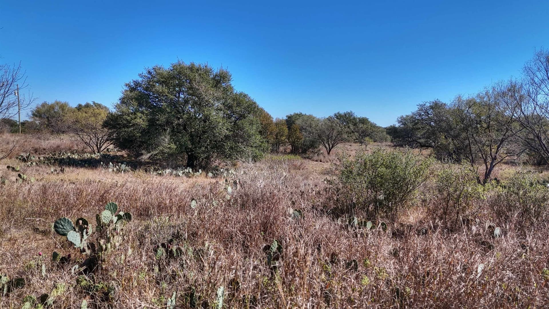5.16 acres in Llano County - photo 10