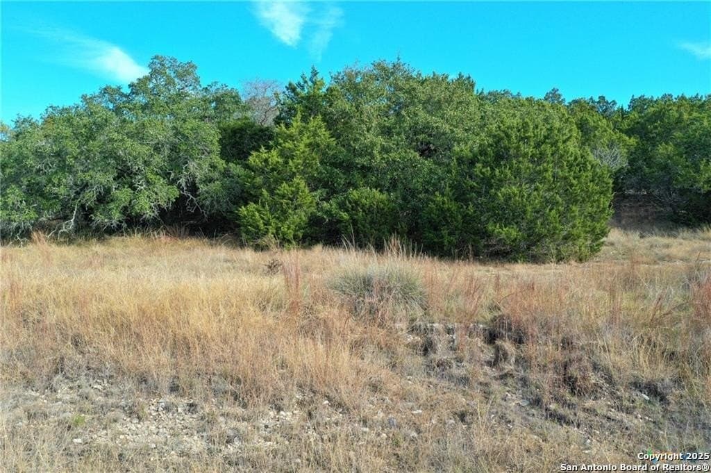 3.02 acres in Comal County - photo 9