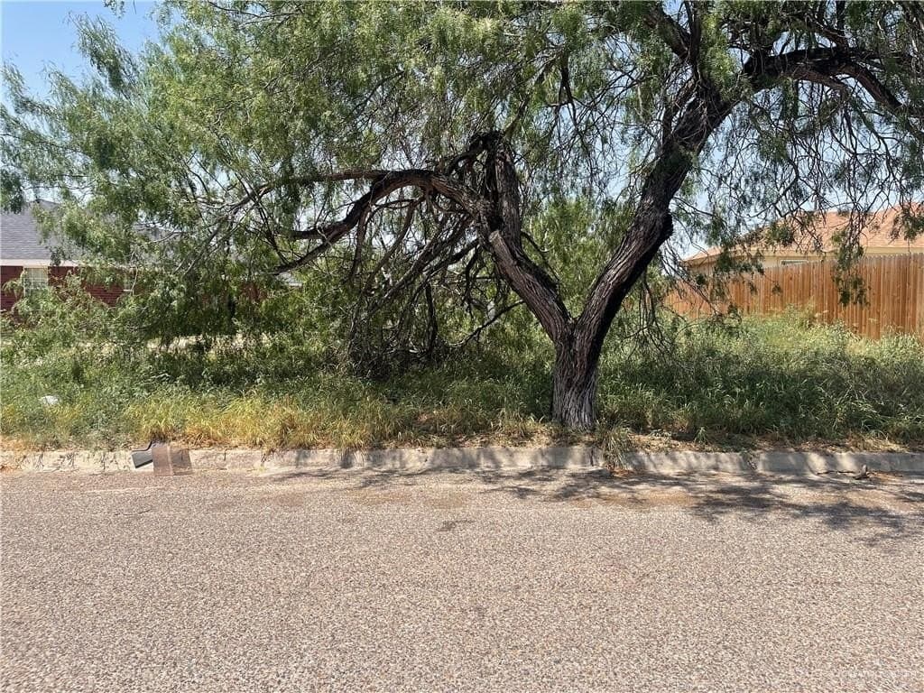 0.17 acres in Hidalgo County