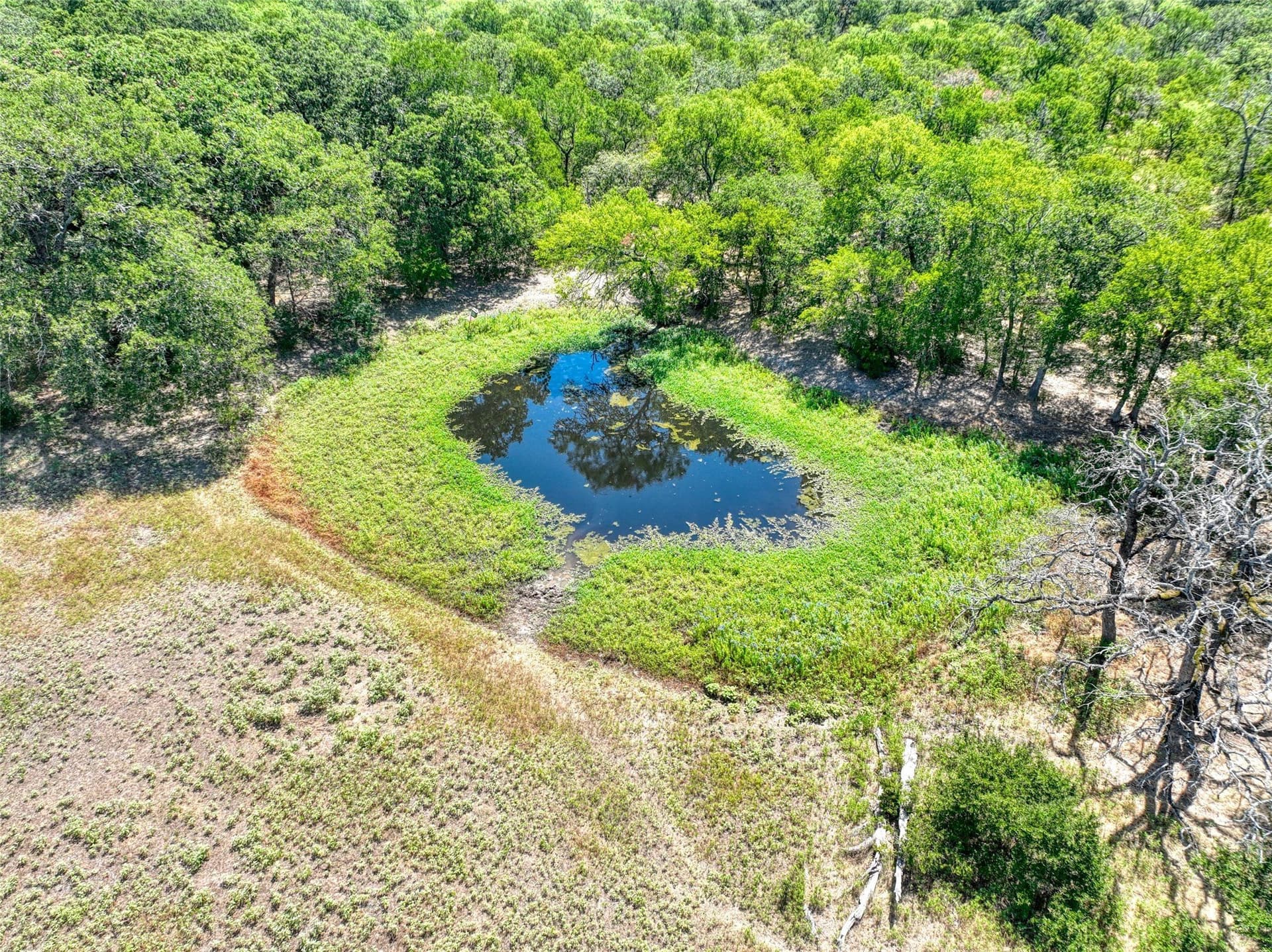 10.45 acres in Navarro County