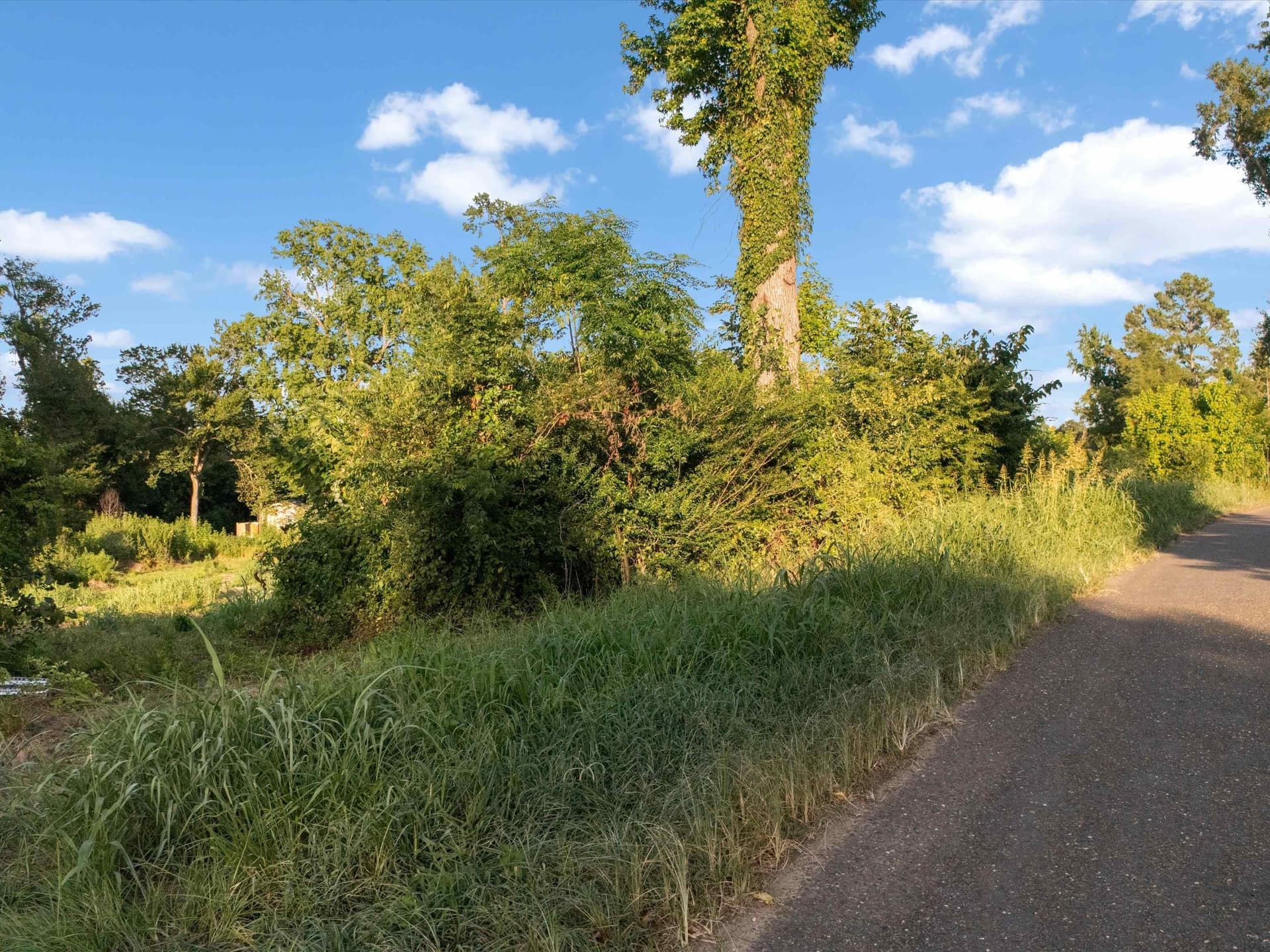 5 acres in Franklin County featured view