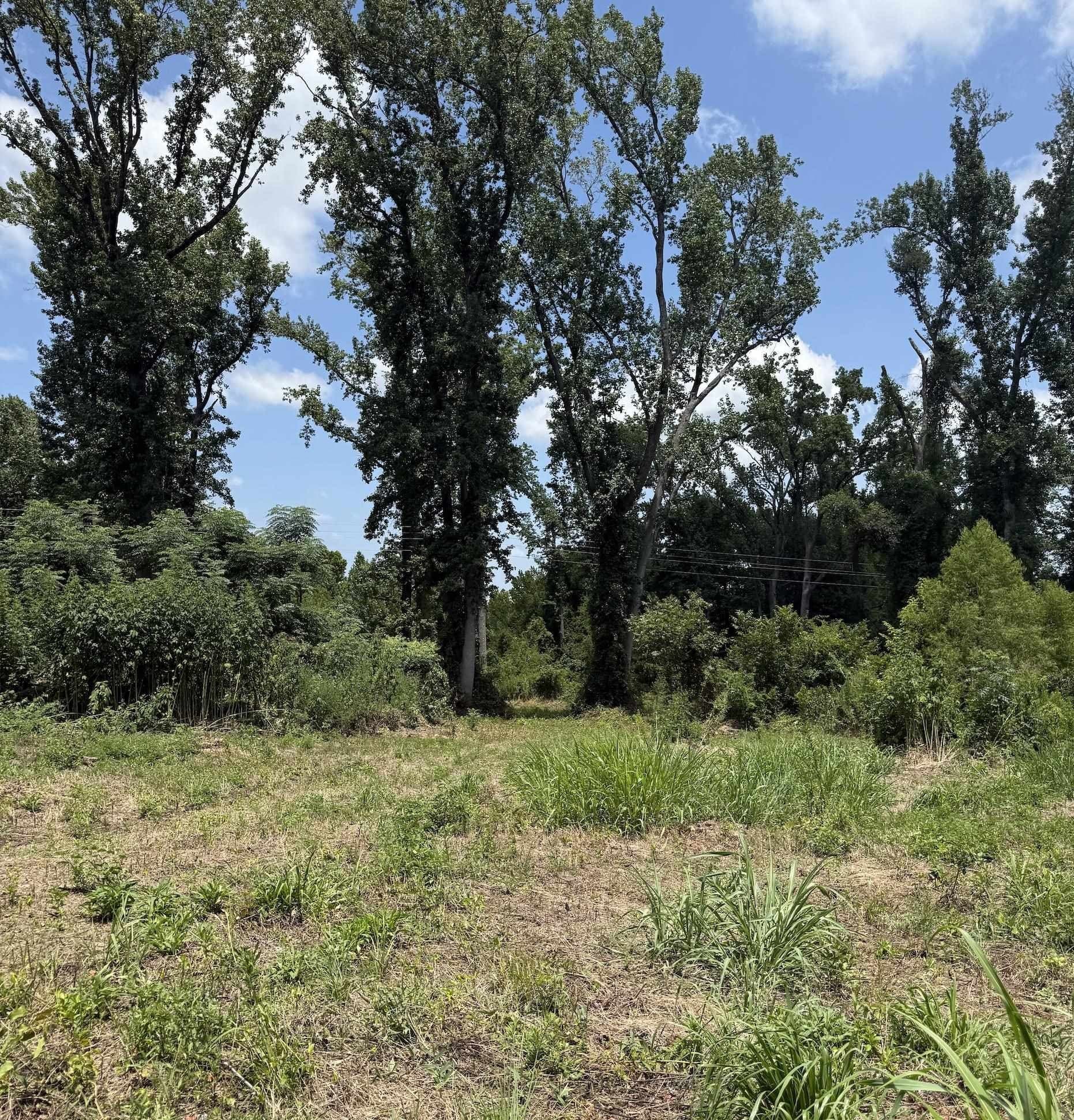 5 acres in Franklin County - photo 8