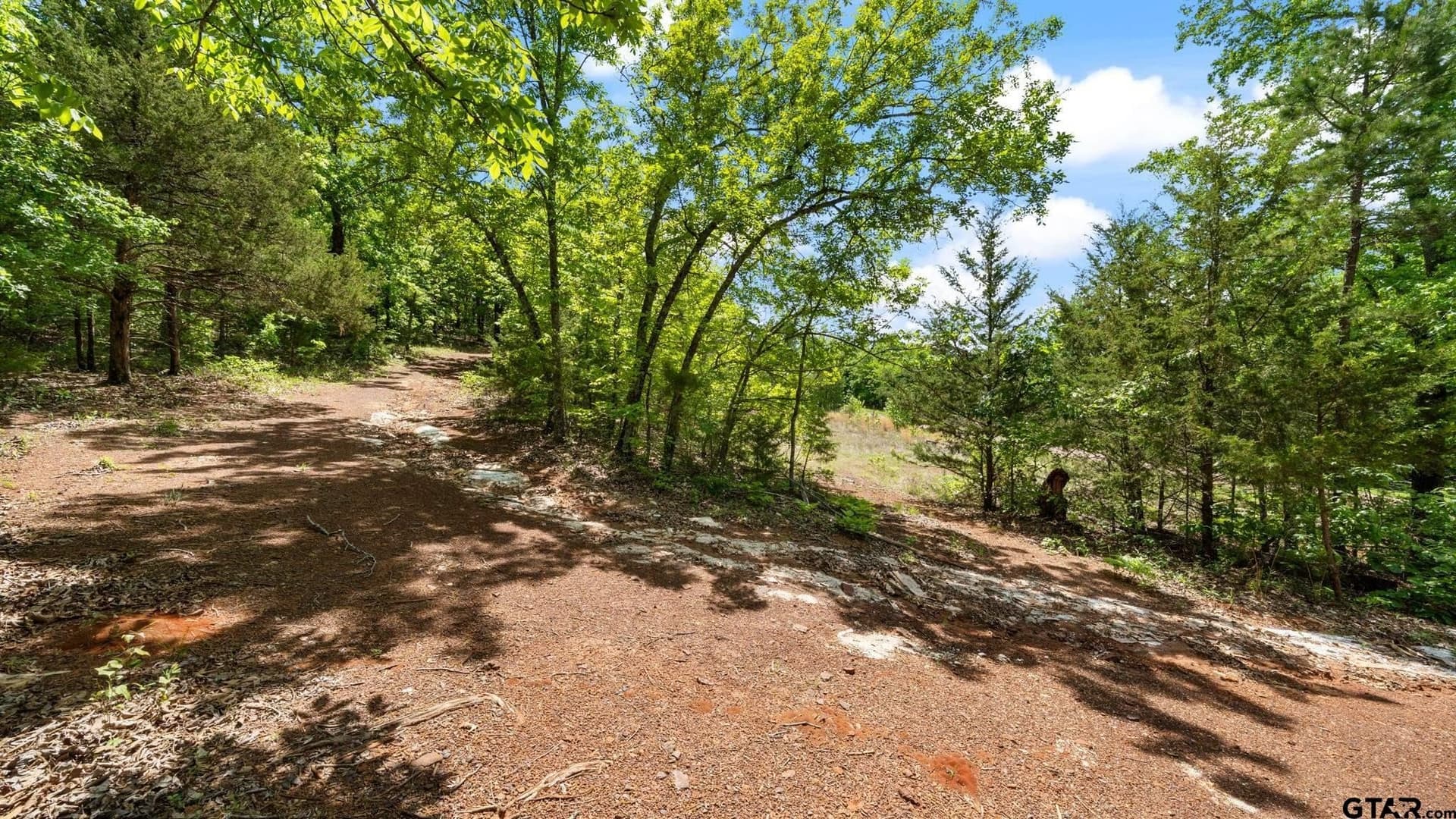 4.37 acres in Van Zandt County gallery image 3