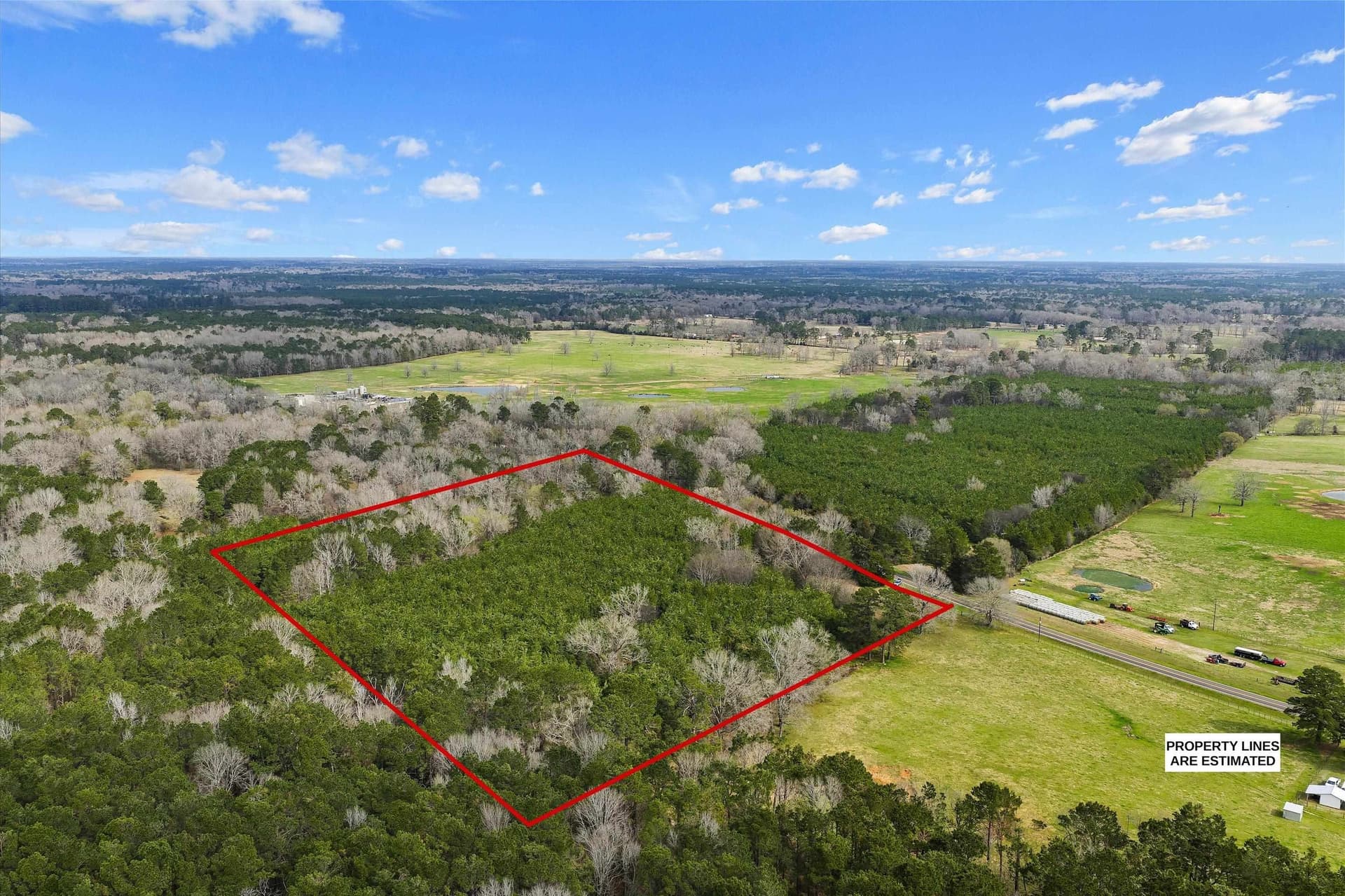 22 acres in Shelby County gallery image 3