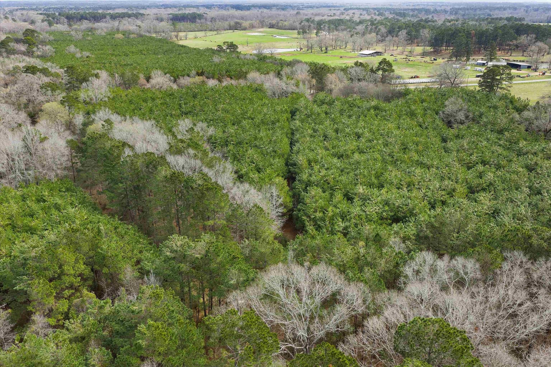 22 acres in Shelby County featured view