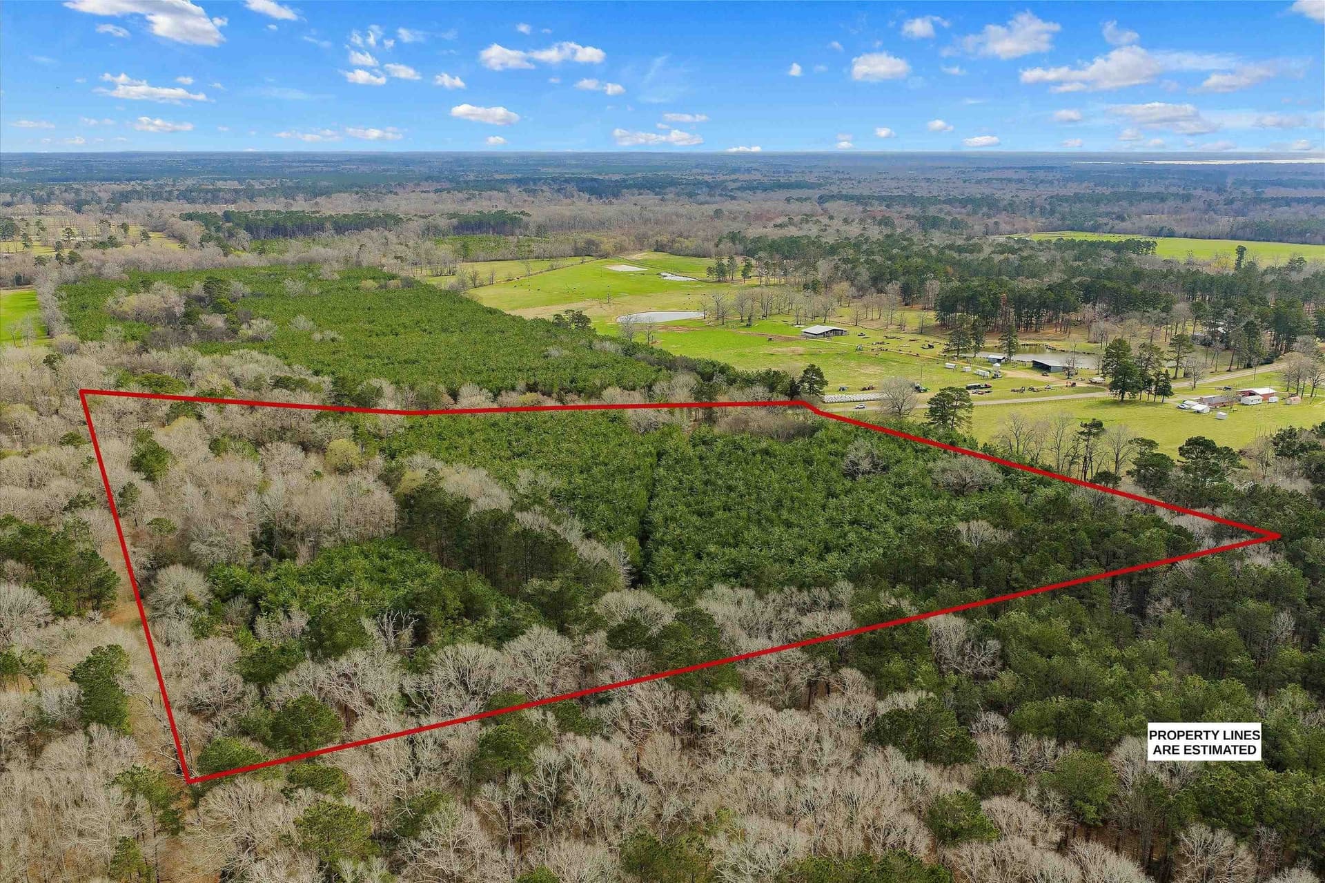 22 acres in Shelby County gallery image 4