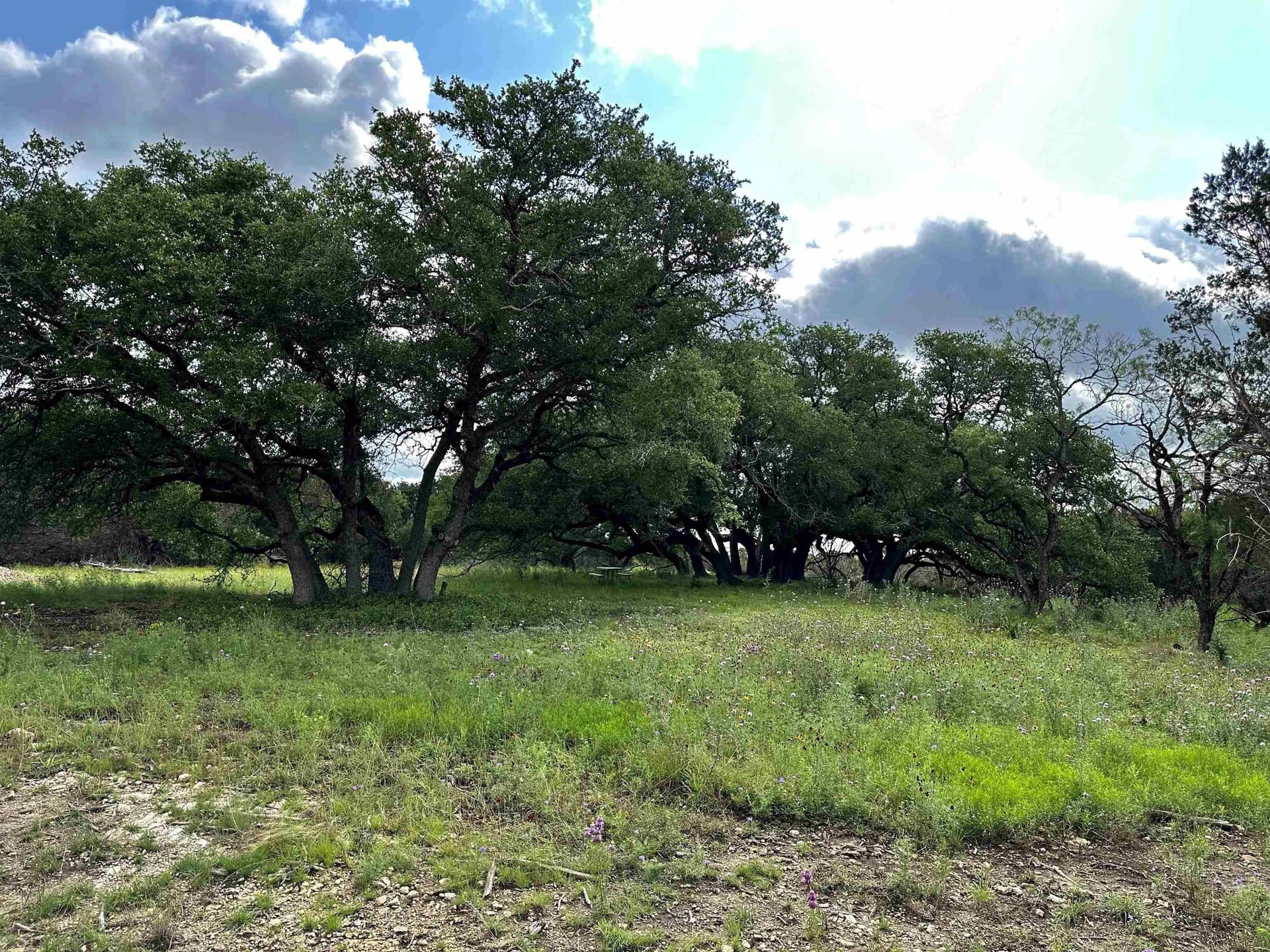 10 acres in Burnet County - photo 14