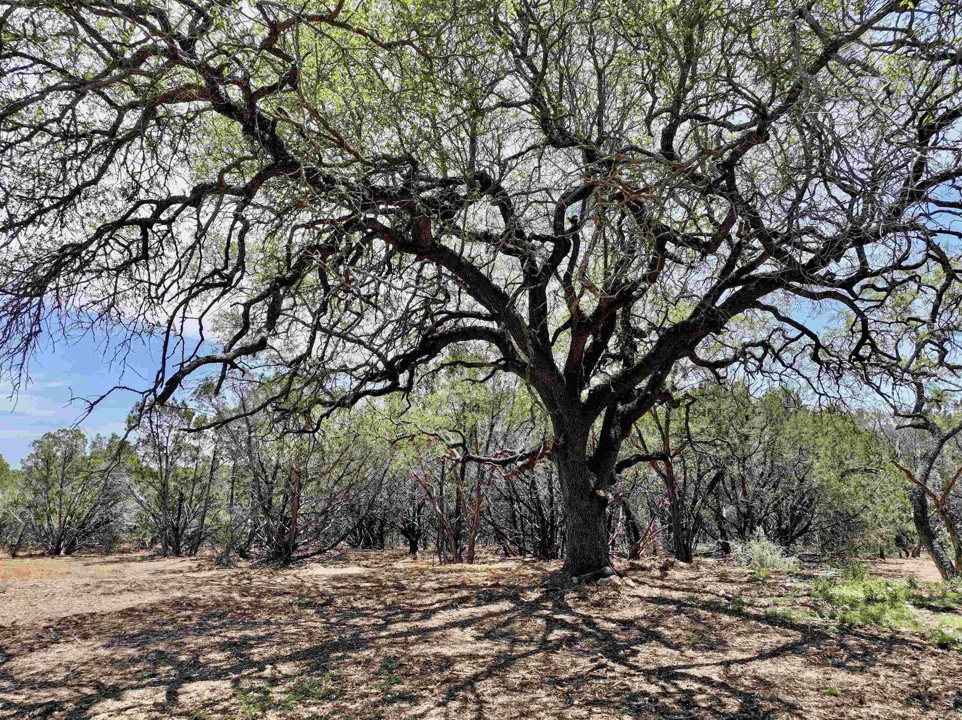 10 acres in Burnet County featured view