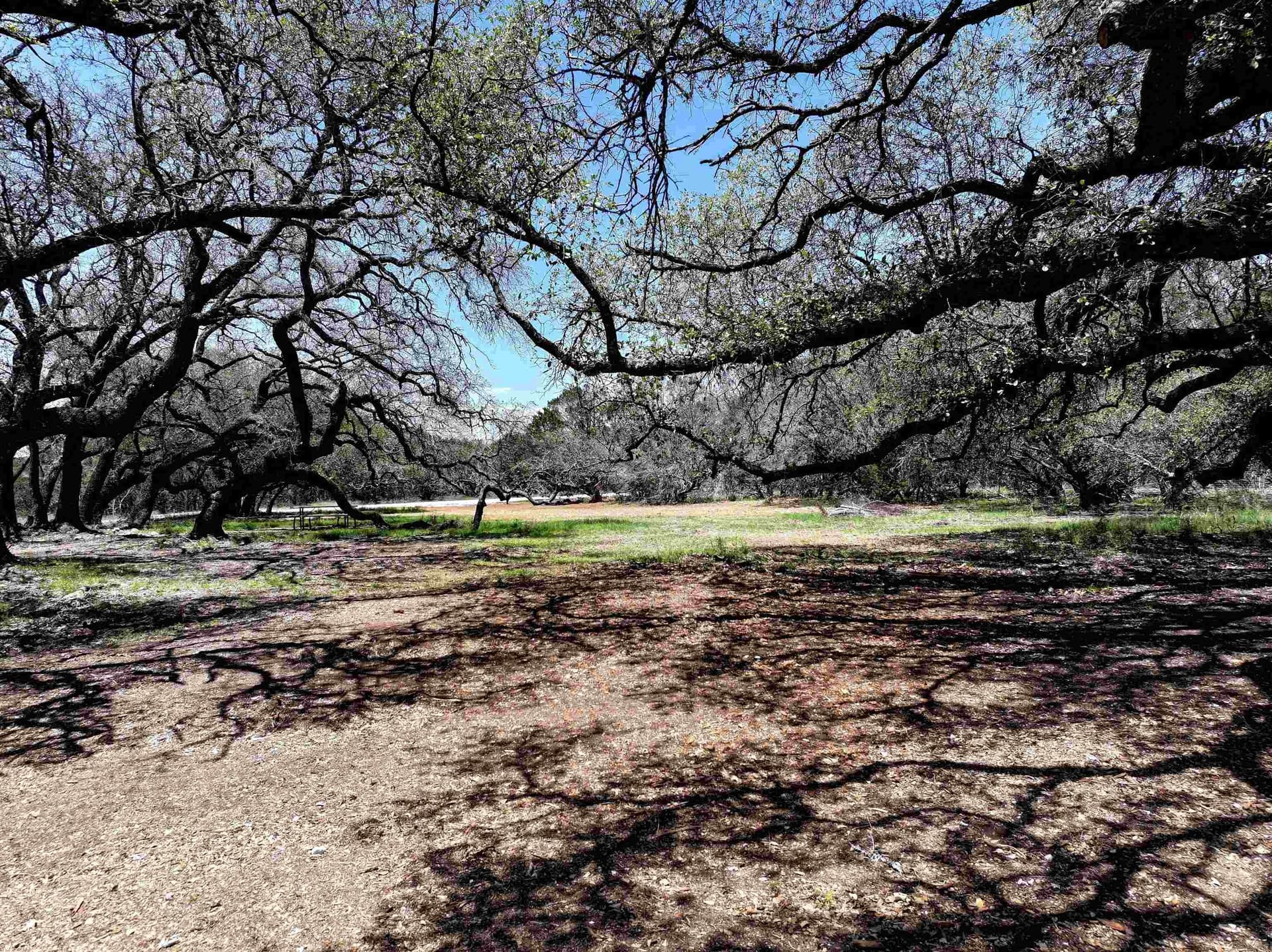 10 acres in Burnet County - photo 6