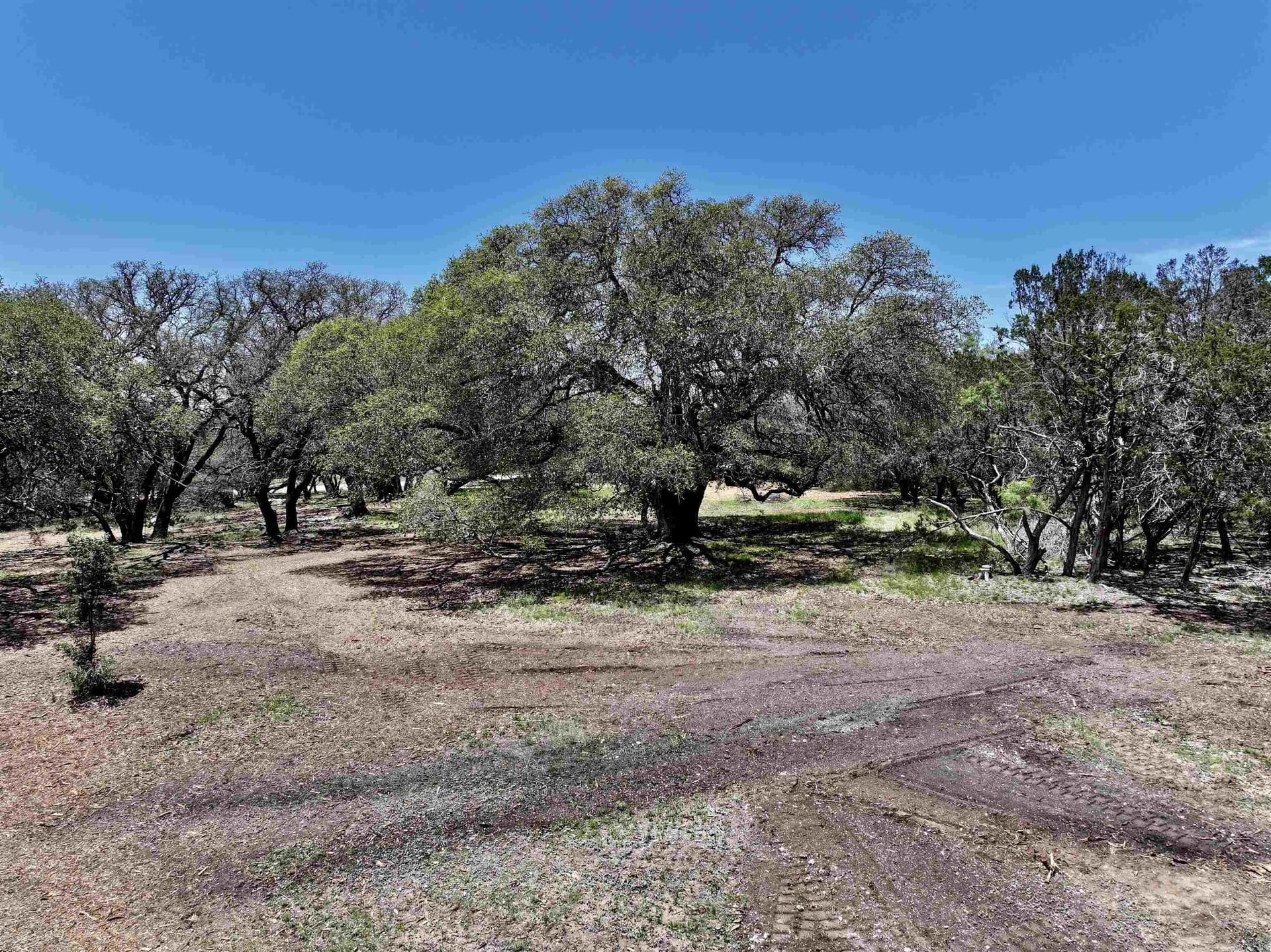 10 acres in Burnet County - photo 9