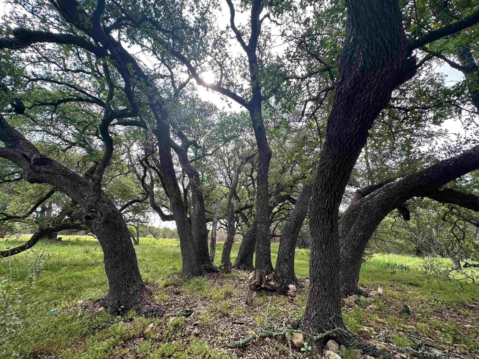 10 acres in Burnet County - photo 18