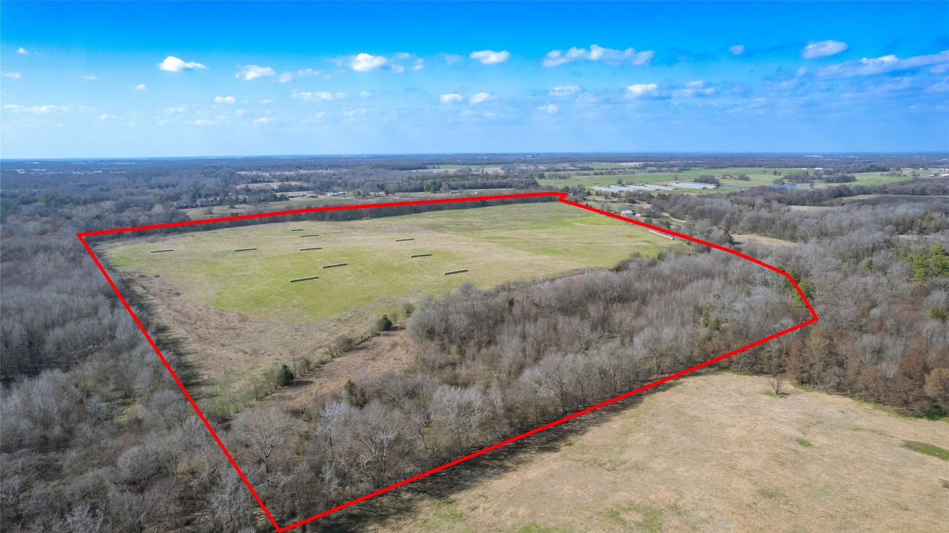 80 acres in Hopkins County gallery image 2