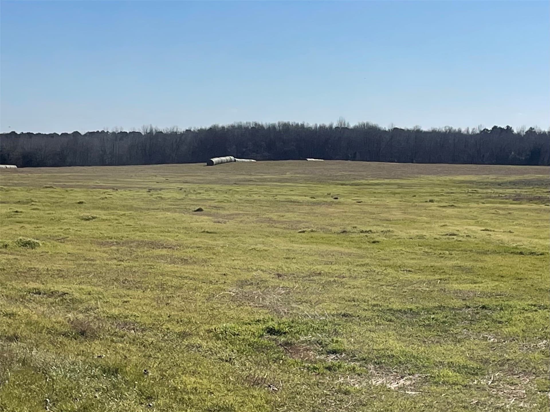 80 acres in Hopkins County - photo 8