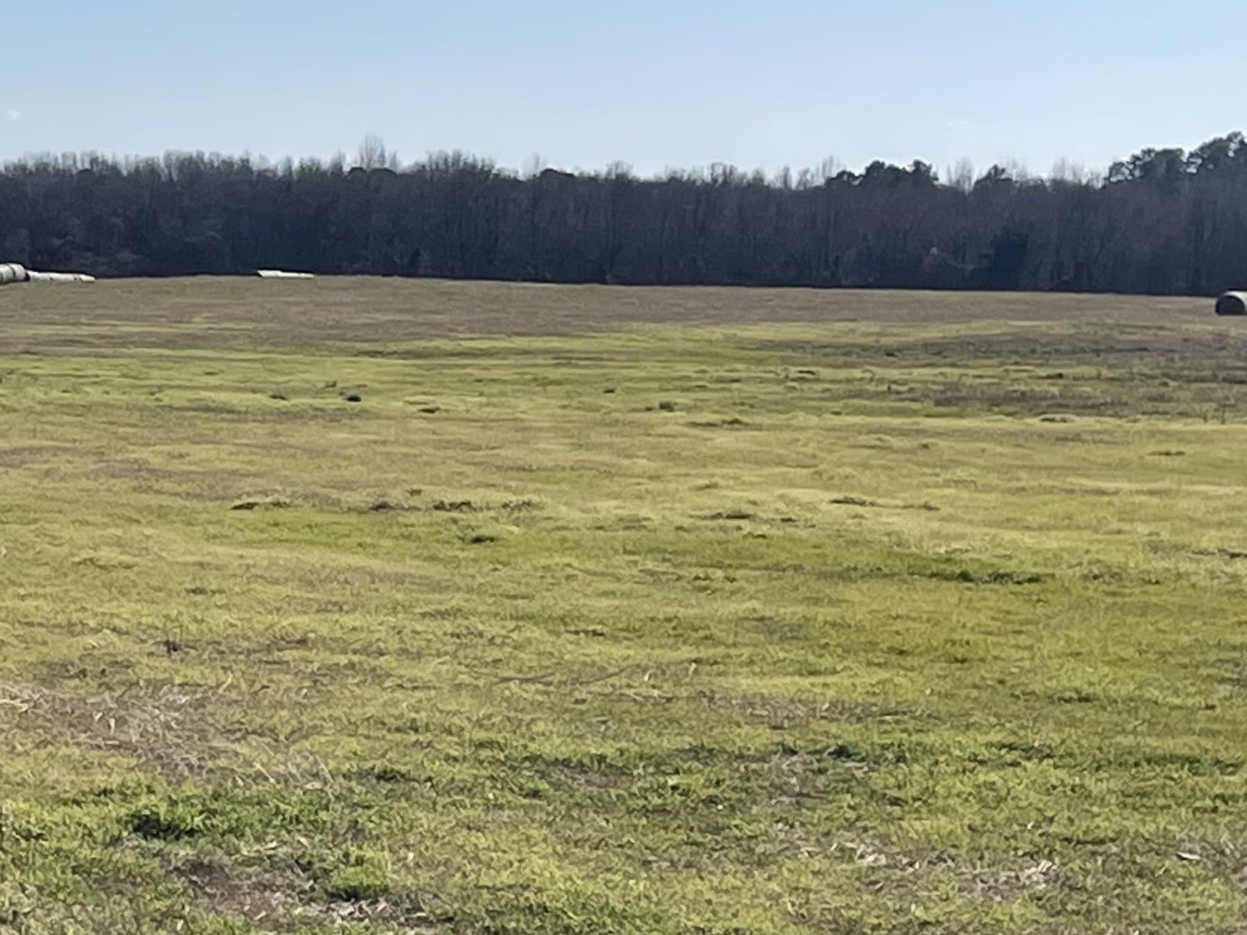 80 acres in Hopkins County - photo 10